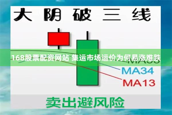 168股票配资网站 集运市场运价为何易涨难跌