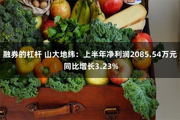 融券的杠杆 山大地纬：上半年净利润2085.54万元 同比增长3.23%