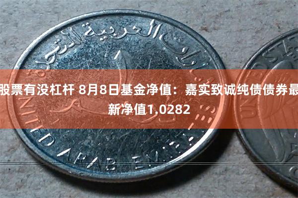 股票有没杠杆 8月8日基金净值：嘉实致诚纯债债券最新净值1.0282