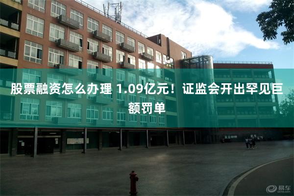 股票融资怎么办理 1.09亿元！证监会开出罕见巨额罚单