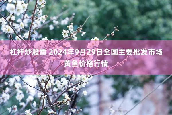 杠杆炒股票 2024年9月29日全国主要批发市场黄鱼价格行情