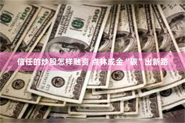 信任的炒股怎样融资 点林成金“碳”出新路