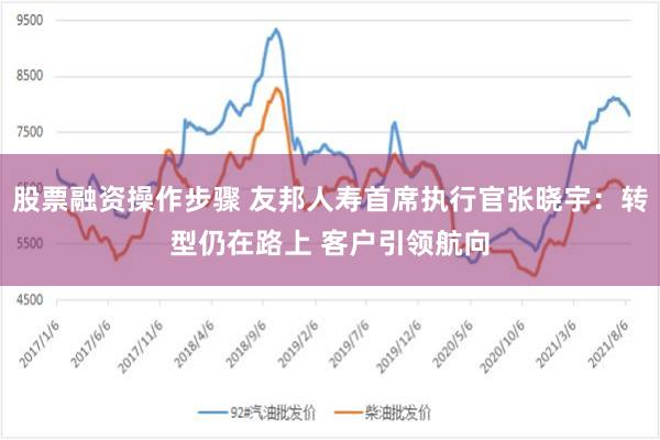 股票融资操作步骤 友邦人寿首席执行官张晓宇：转型仍在路上 客户引领航向