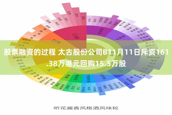 股票融资的过程 太古股份公司B11月11日斥资161.38万港元回购15.5万股