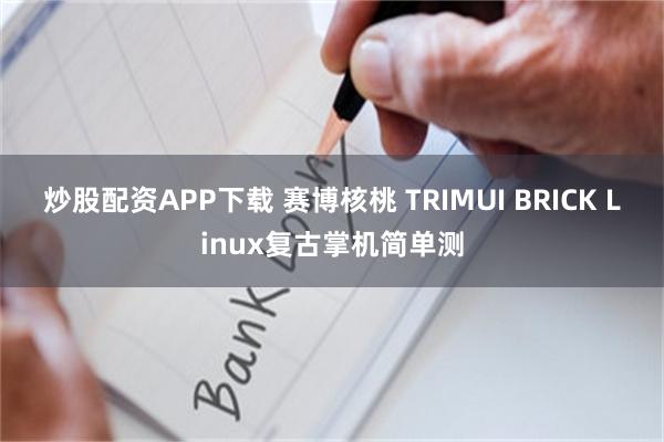 炒股配资APP下载 赛博核桃 TRIMUI BRICK Linux复古掌机简单测