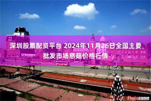 深圳股票配资平台 2024年11月26日全国主要批发市场慈菇价格行情