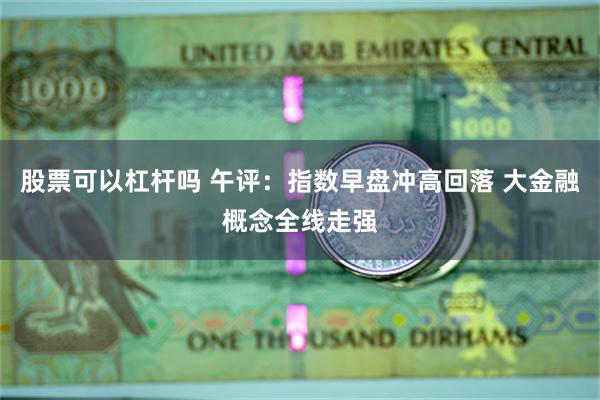 股票可以杠杆吗 午评：指数早盘冲高回落 大金融概念全线走强